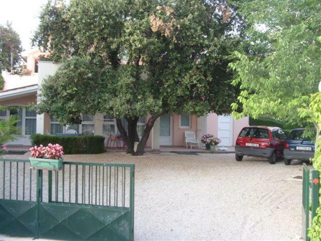 Apartments Tonka Primošten Dış mekan fotoğraf