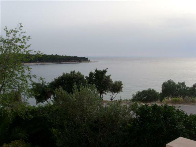 Apartments Tonka Primošten Dış mekan fotoğraf